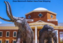 Does Mammoth Nation Have Free Shipping