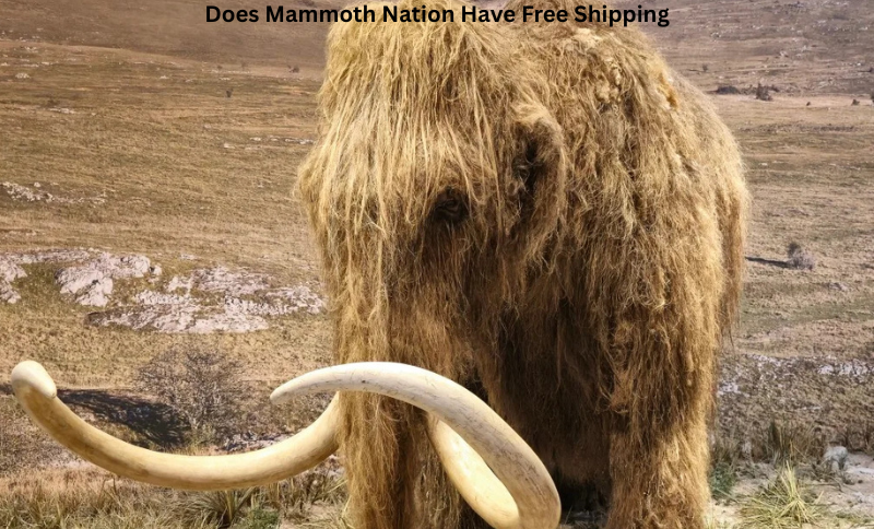 Does Mammoth Nation Have Free Shipping